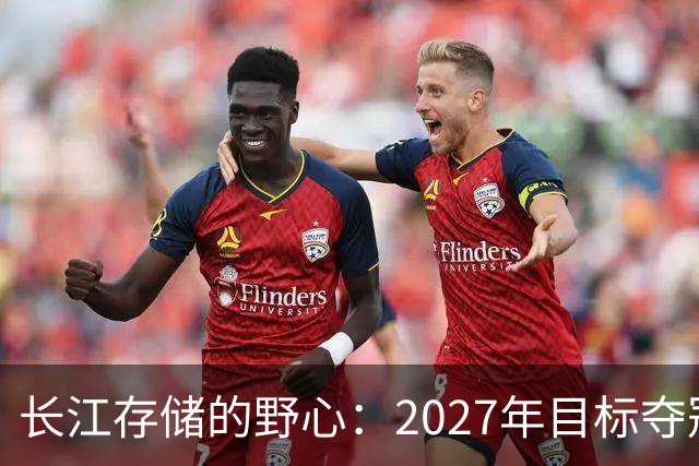长江存储的野心：2027年目标夺冠闪存市场
